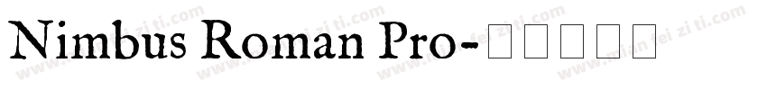 Nimbus Roman Pro字体转换
